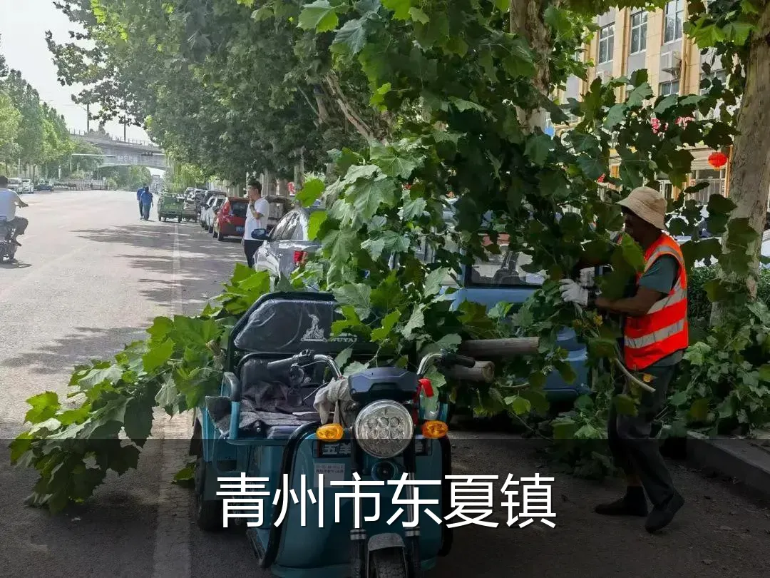 青州市东夏镇