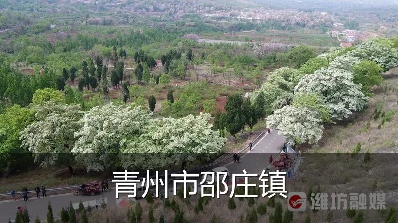 青州市邵庄镇