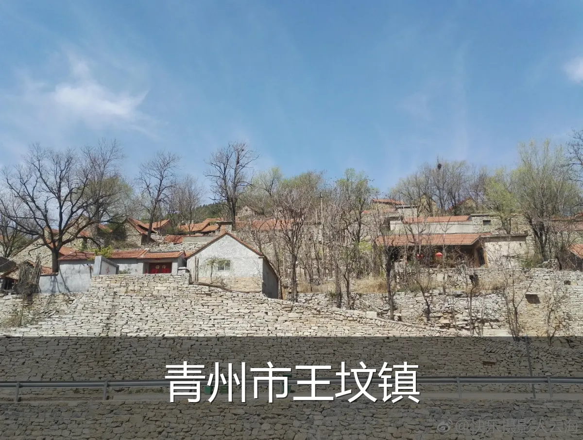 青州市王坟镇