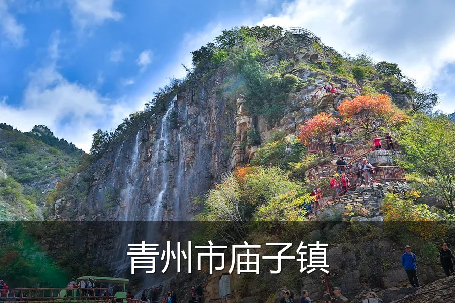 青州市庙子镇